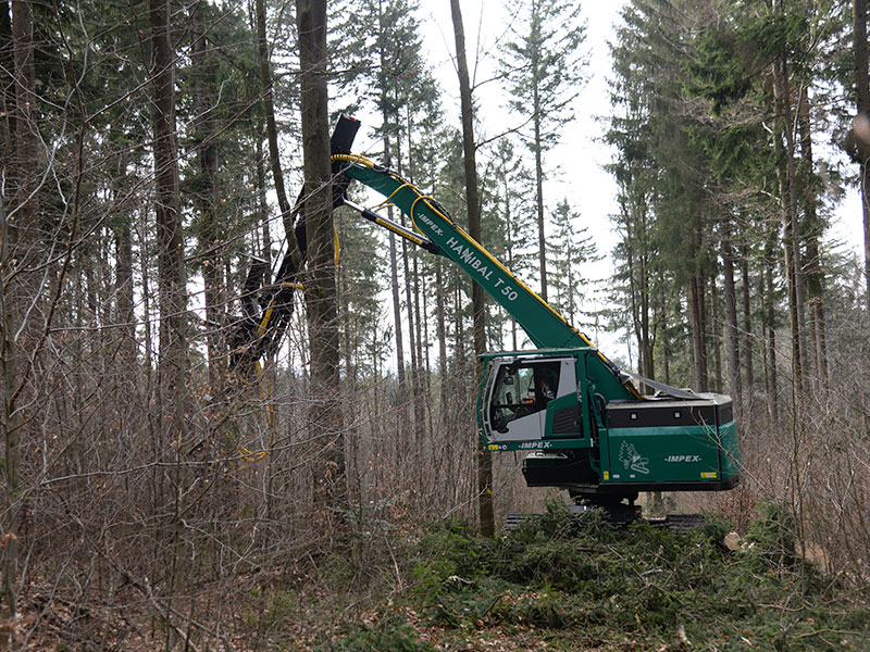 <i class='icon-impex'></i><h4>HANNIBAL T50 <br>Stehendentnahme Harvester</h4>
